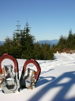 snowshoeing