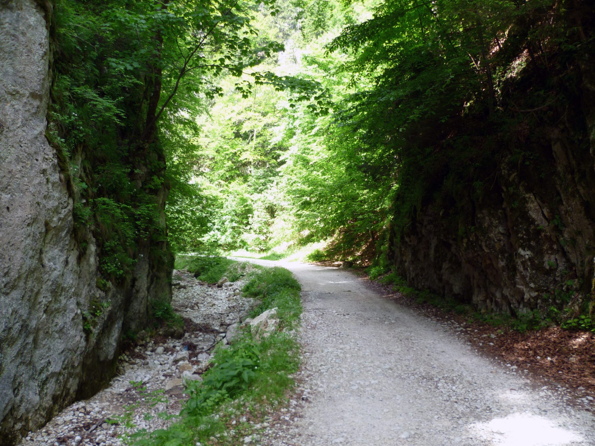 zarnesti gorge