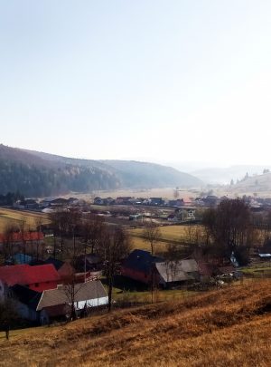 Buffalos' Valley
