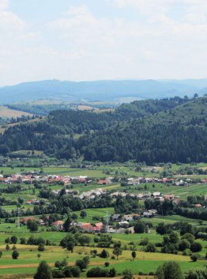 Acris village