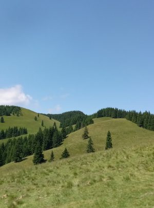 Dobromiru