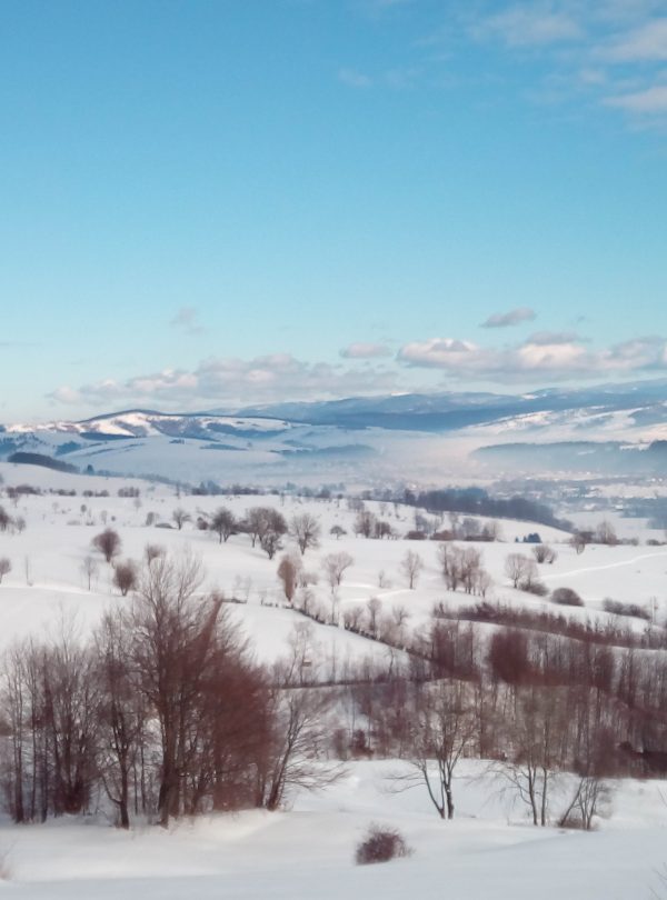 valea zimbrilor
