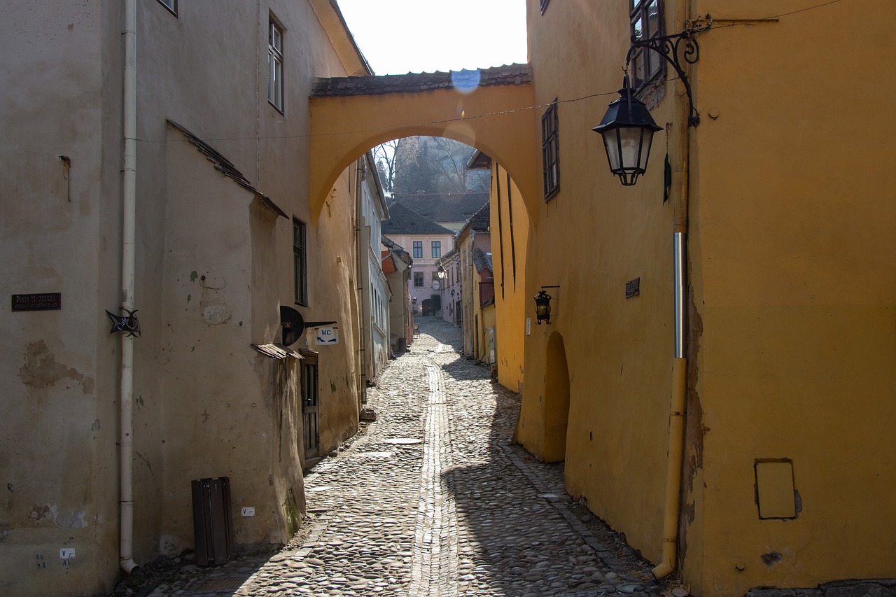 sighisoara sightseeing tour