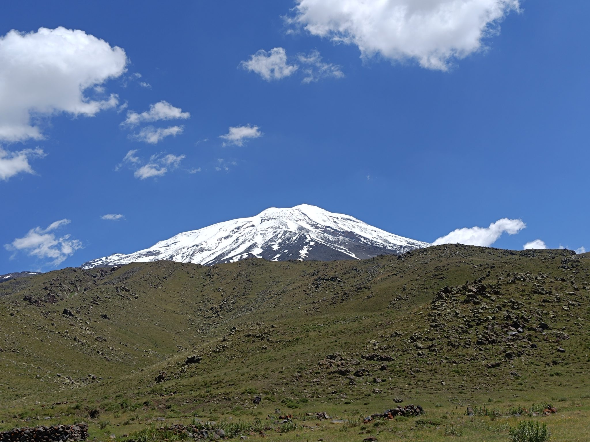 ararat