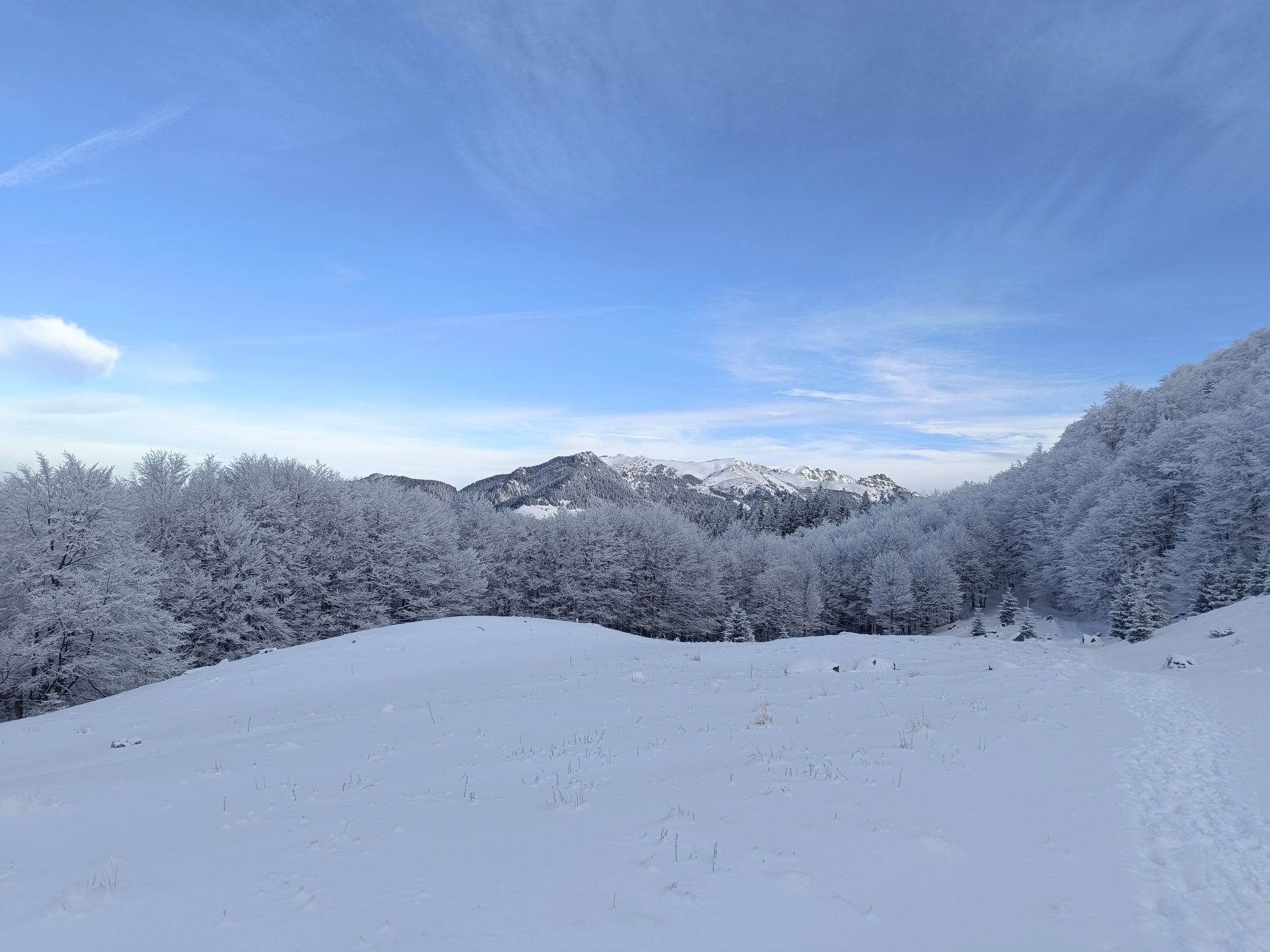 grohotis mountains