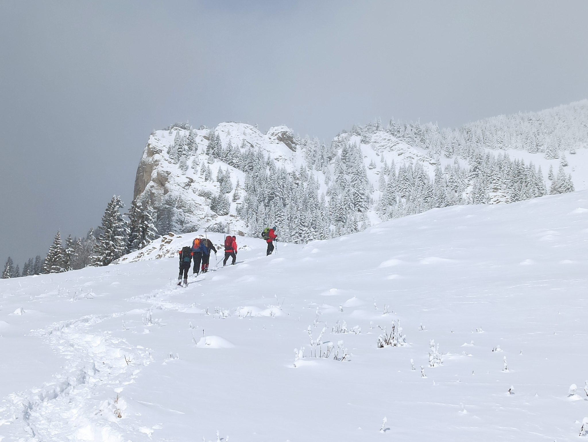 zaganu-gropsoarele ridge