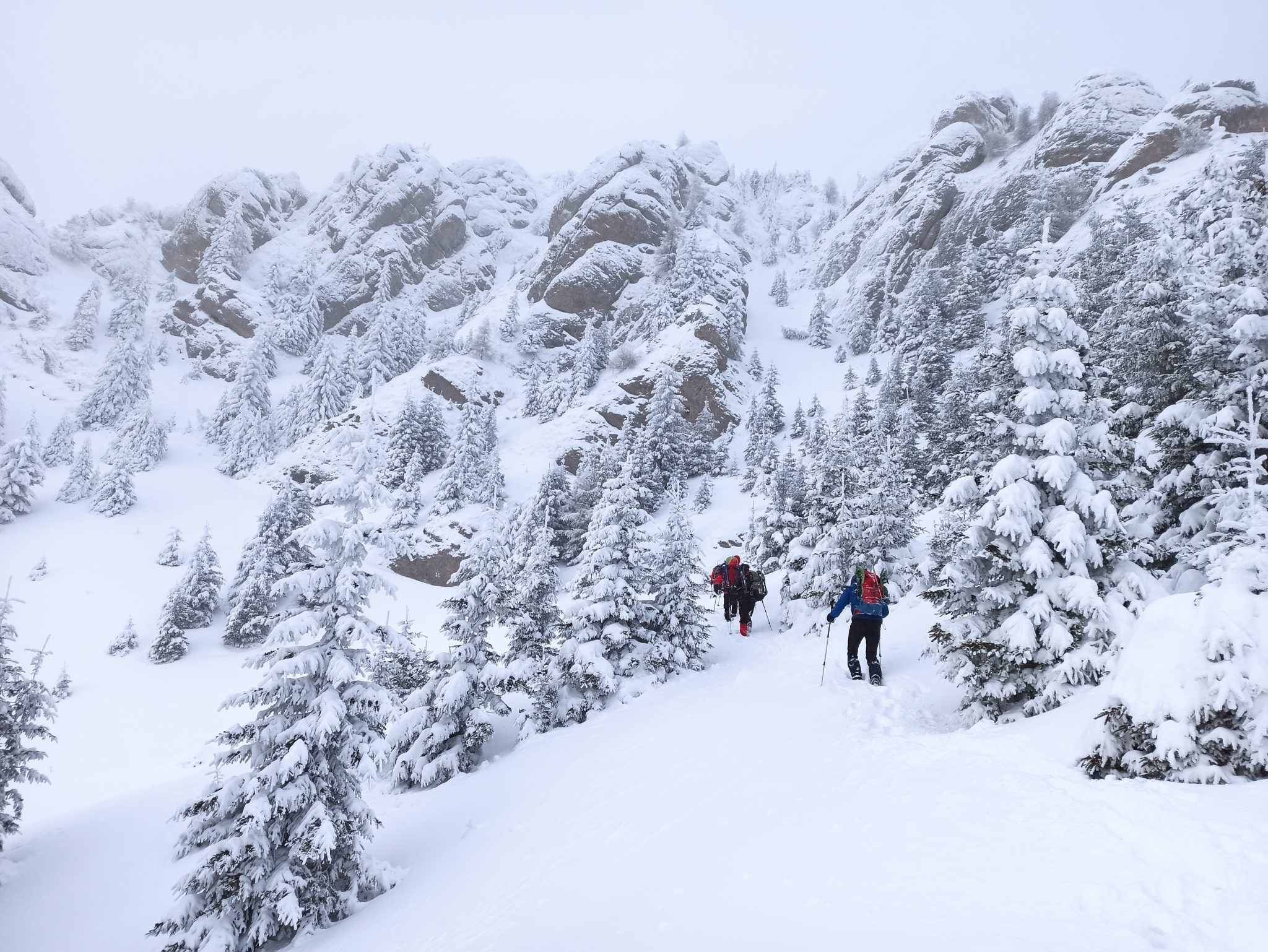 zaganu-gropsoarele ridge