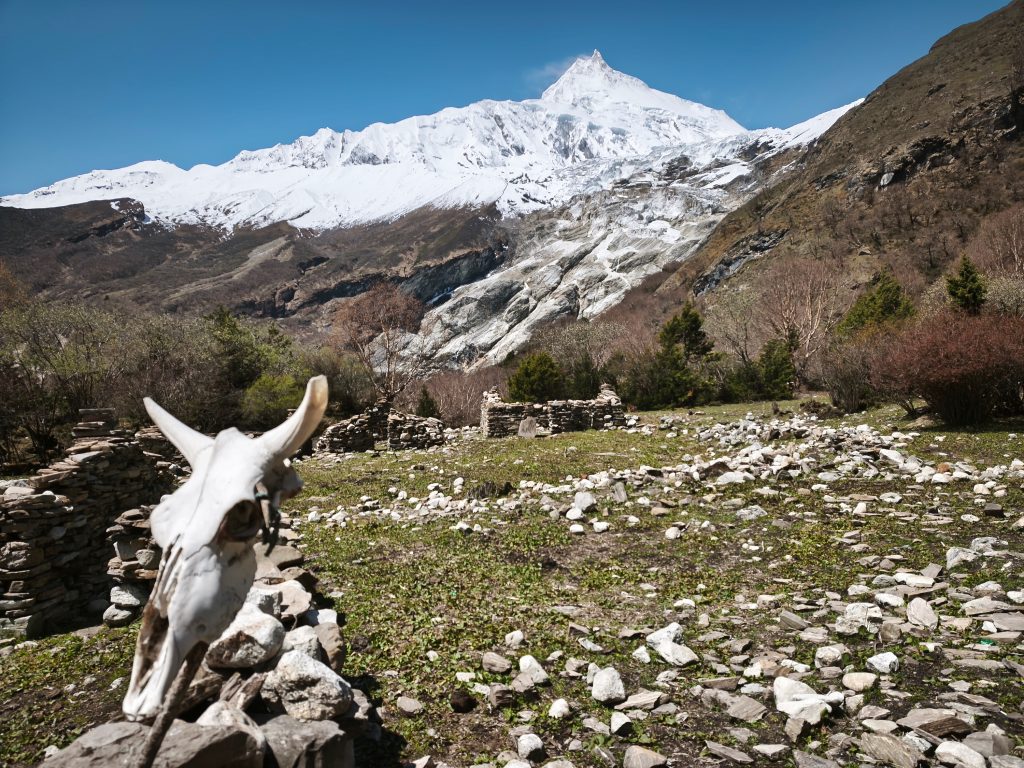 manaslu circuit